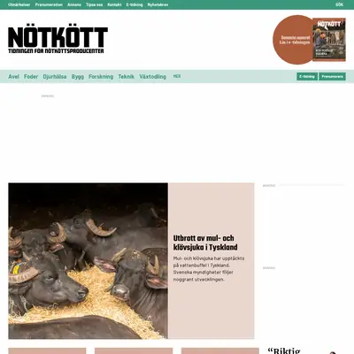 www.tidningennotkott.se startsida 2025