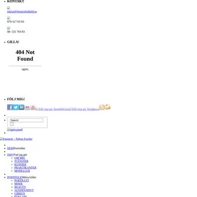 https://tobiasfischer.se startsida 2011