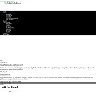 https://tobiasfischer.se startsida 2012