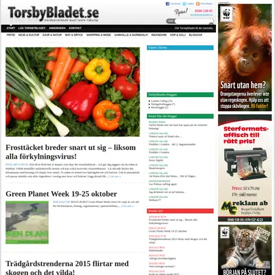 TorsbyBladet startsida 2016