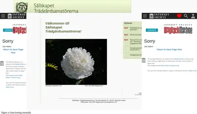 TrädgårdsAmatören startsida 2007