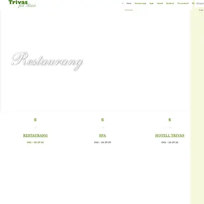 TRIVAS startsida 2019