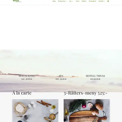 TRIVAS startsida 2023