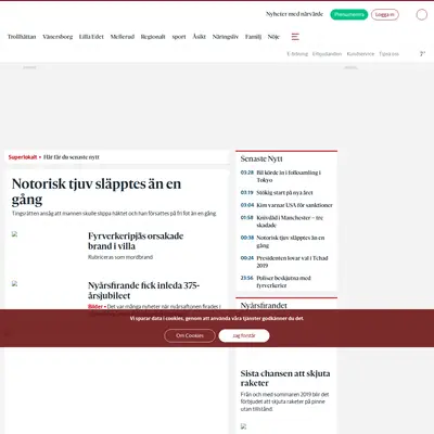 www.ela.2stad.se startsida 2019