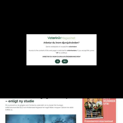 Veterinärmagazinet startsida 2025