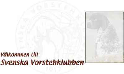 vorsteh.se startsida 2002