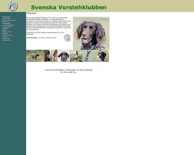vorsteh.se startsida 2004