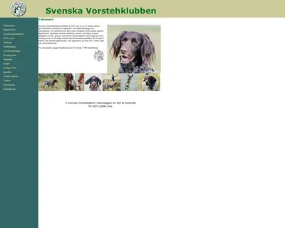 vorsteh.se startsida 2006