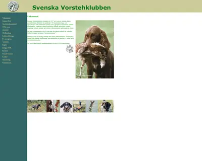 vorsteh.se startsida 2007