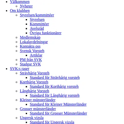 vorsteh.se startsida 2008