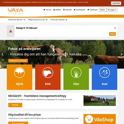 Växa Nytt startsida 2019