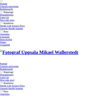 www.wallerstedt.se startsida 2017