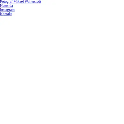 www.wallerstedt.se startsida 2022